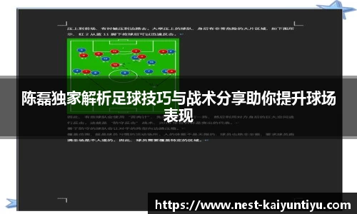 陈磊独家解析足球技巧与战术分享助你提升球场表现